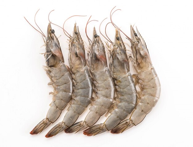 Prawns